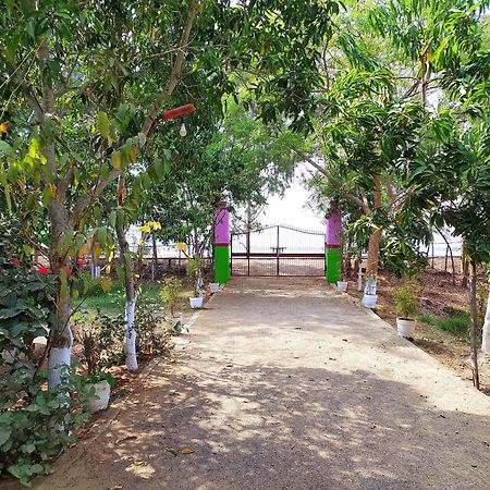 Estuarine Village Resort Satabhaya Ngoại thất bức ảnh