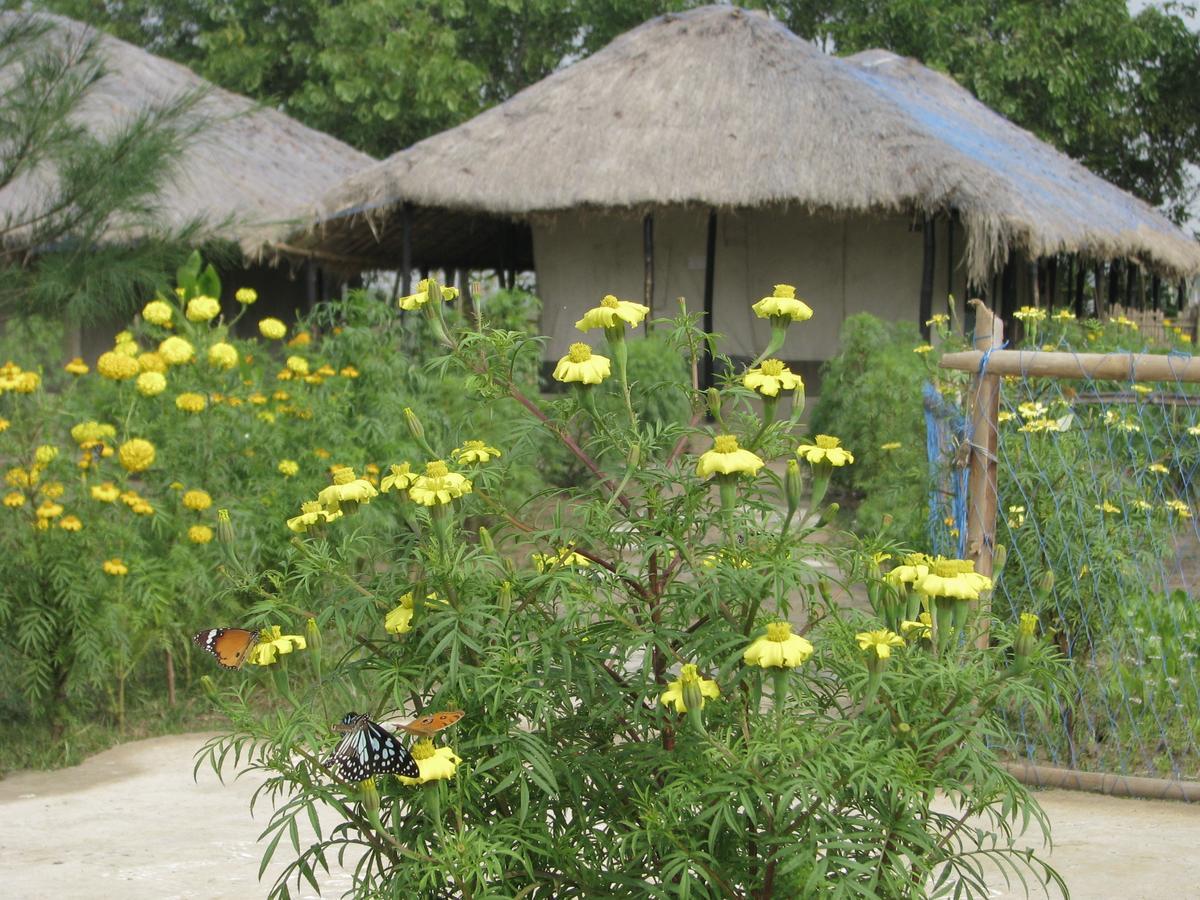 Estuarine Village Resort Satabhaya Ngoại thất bức ảnh